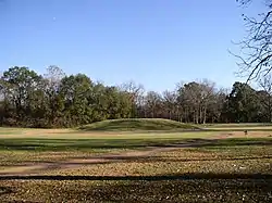 A mound amidst a field of short grass, fallen leaves and a trail