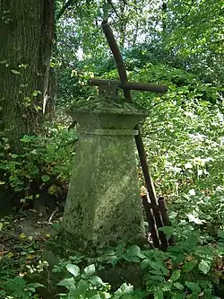 Cemetery in Kamień-Kolonia