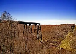 The collapsed Kinzua Bridge at Kinzua Bridge State Park in Hamlin Township