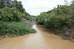 Komoé River near Folonzo