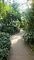 Pathway through the Tropical house