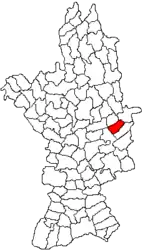 Location in Olt County