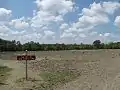 Large tilled field among tall pine trees with several hopeful visitors digging for diamonds