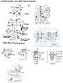 Crayford focuser - John Wall original drawings.