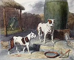 Crib and Rosa, 1817