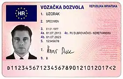 European driving licence(Croatian version pictured)