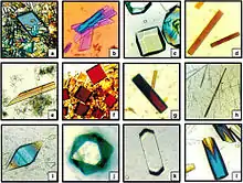 Protein crystals grown by American scientists on the Russian Space Station Mir in 1995.