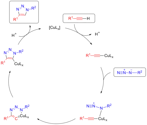 Mechanism for Copper-catalysed click chemistry.