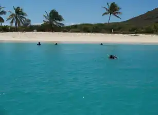 A photo taken of people snorkeling in Culebrita