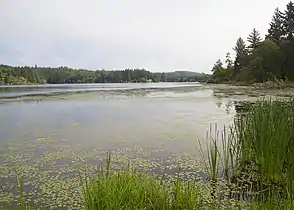 Cullaby Lake in Clatsop County