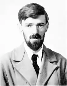 D.H. Lawrence, novelist