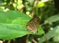 At Kozhikode, Kerala