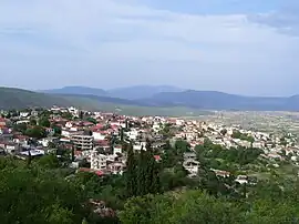 A view of Davleia