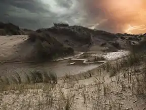 Den Hoorn, Dunes of Texel National Park