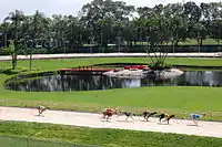 A view of the infield at the start of a race