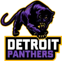 Detroit Panthers logo