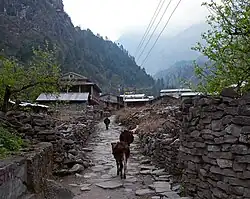 Dharapani village