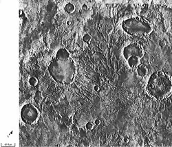 These branched channels provide possible evidence of past rain on Mars. (Margaritifer Sinus quadrangle)