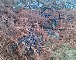 Near the top of the incline are the discarded remains of the cables used for hauling engines up the incline