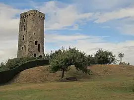 The ruined keep of La Haye-du-Puits castle