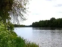 Drammenselva downstream from Solbergelva.