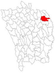 Location in Vaslui County