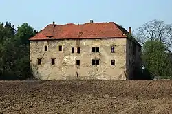 Derelict castle in Nieszkowice