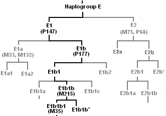 E1b1b1 origins map