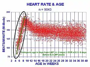 M-mode sonography measuring embryonic heart rate.