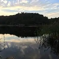 Eigevann