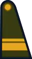 Sargento primero(Argentine Army)