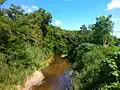 The river near El Cinco district.