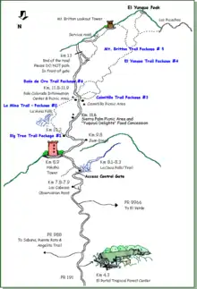 The route of PR-191 through El Yunque National Forest