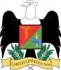 Official seal of Department of Junín