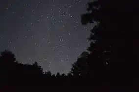 Many stars viewed from Montecristo Park in a clearing in the midst of dark trees in the night