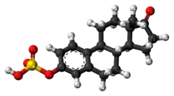 Space-filling model of the estrone sulfate molecule