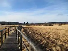 Boardwalk in the "Grande Fagne"