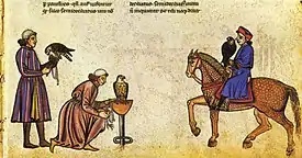 Illustration from the falconry book De arte venandi cum avibus written by Emperor Frederick II, c. 1245