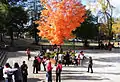 Fall at Tuskegee University