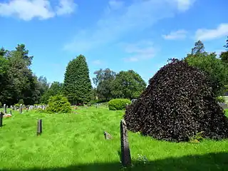 View of the church yard