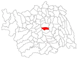 Location in Bacău County