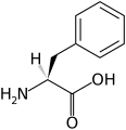 L-Phenylalanine(Phe / F)