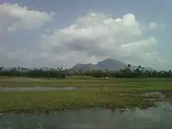 Fields near Devarapalli of Visakha hidistrict