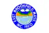 Flag of East Brookfield, Massachusetts