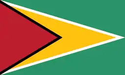 Flag of Guyana