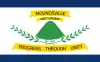 Flag of Moundsville, West Virginia