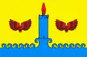 Flag of Svechinsky District