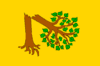 Flag of Velká Polom