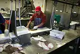 Filleting sole