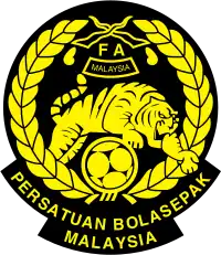 Shirt badge/Association crest